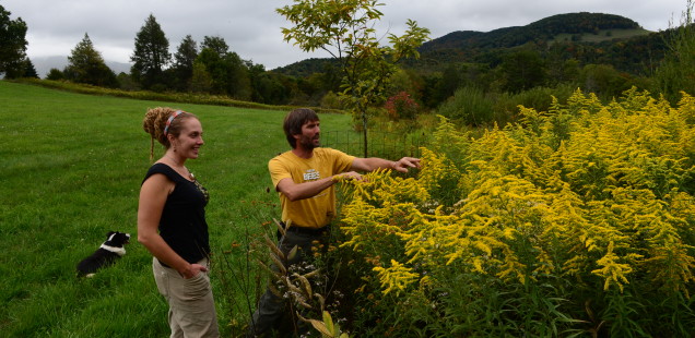 Video - Charleston Gazette, October 2014 - "Making Mead"